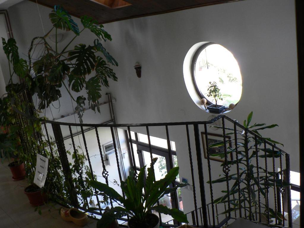 Casa Havana (Adults Only) Costinesti Zewnętrze zdjęcie