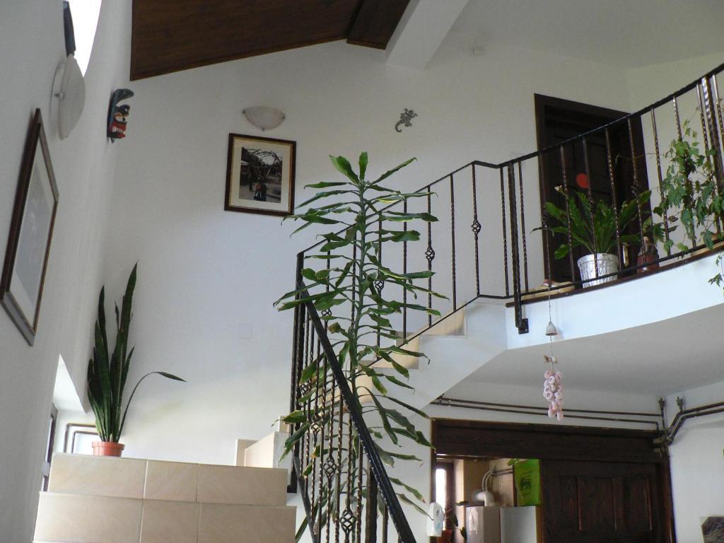 Casa Havana (Adults Only) Costinesti Zewnętrze zdjęcie