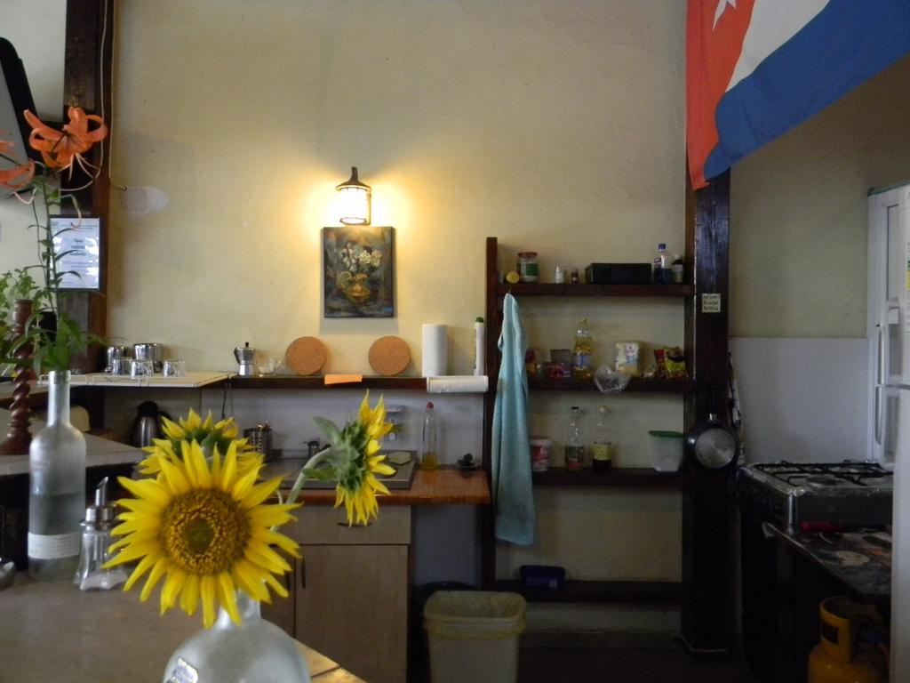 Casa Havana (Adults Only) Costinesti Zewnętrze zdjęcie